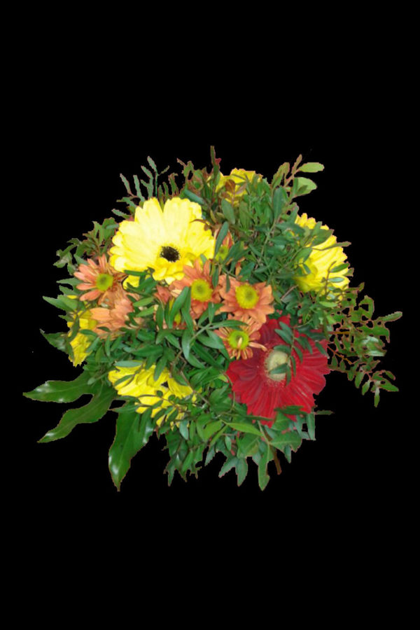 Ramo Primavera
