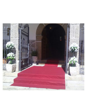 Adorno Entrada Iglesia