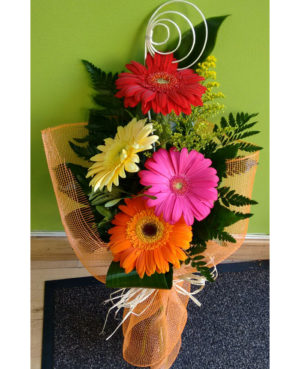 Gerberas