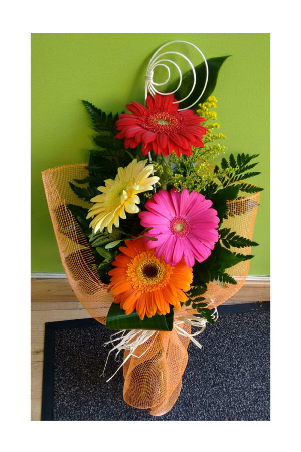 Gerberas