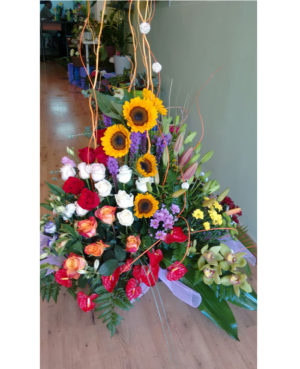 Girasoles
