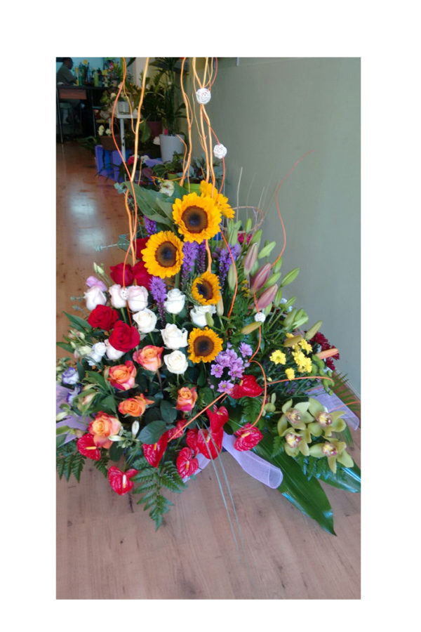 Girasoles