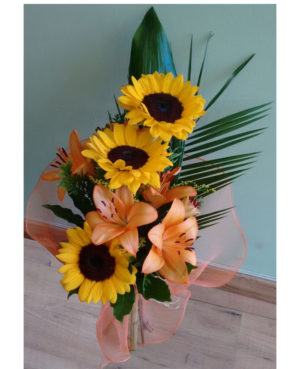 Girasoles