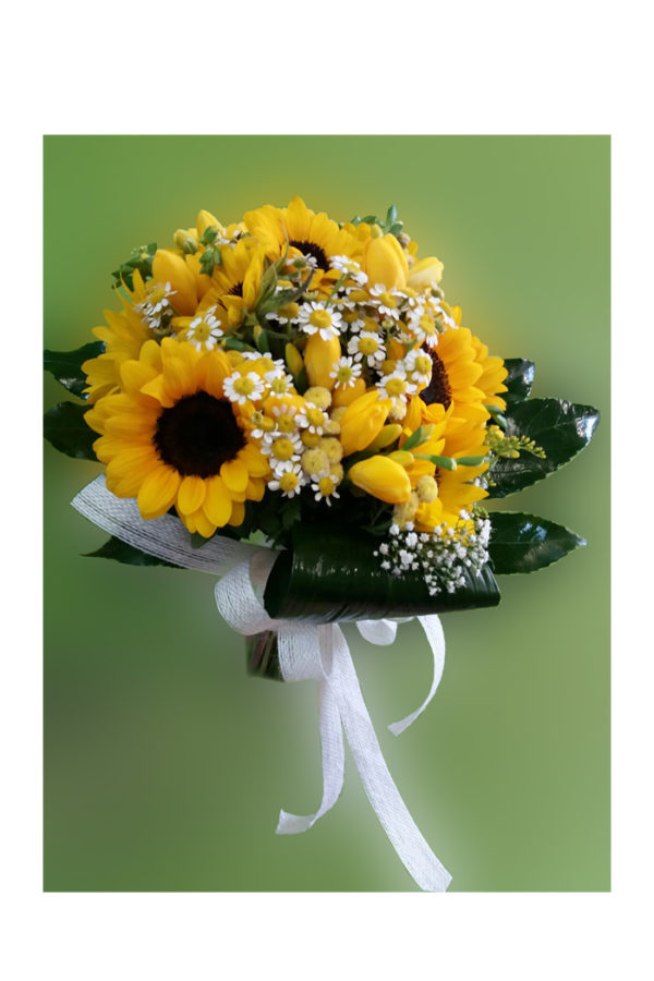 Girasoles