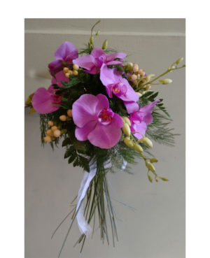 Orquídea fucsia