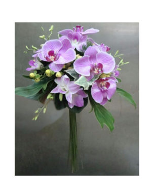 Orquídea lila