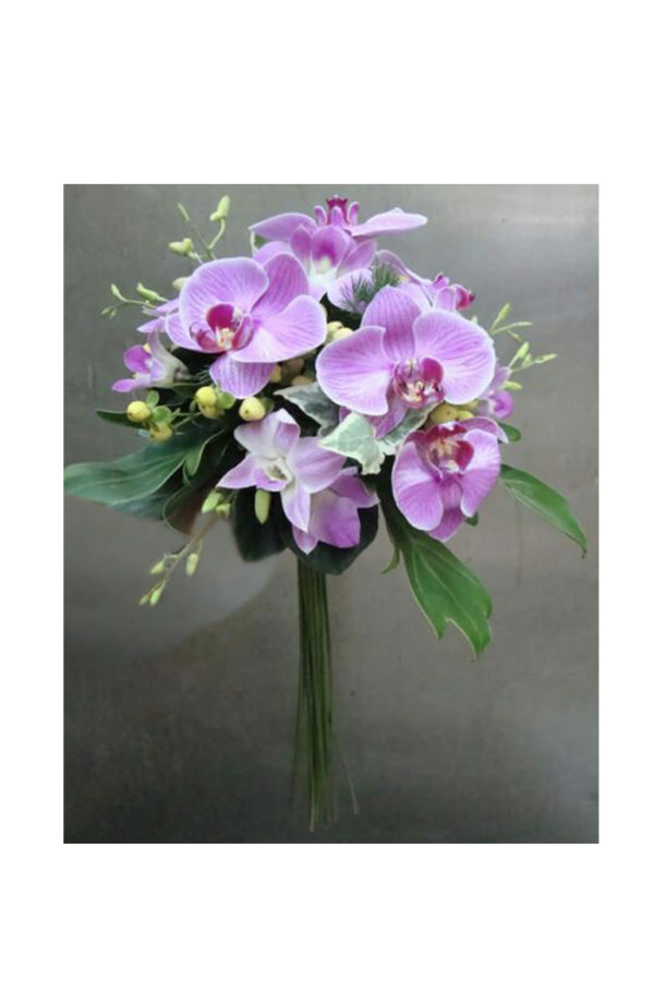 Orquídea lila