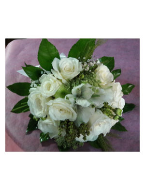 Rosas Blancas