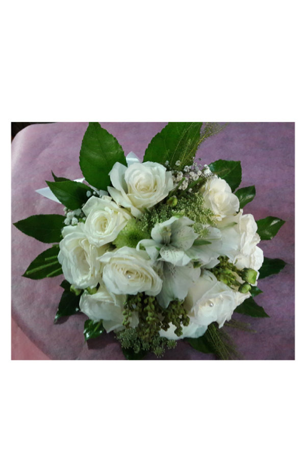 Rosas Blancas