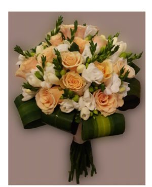 Rosas bicolor