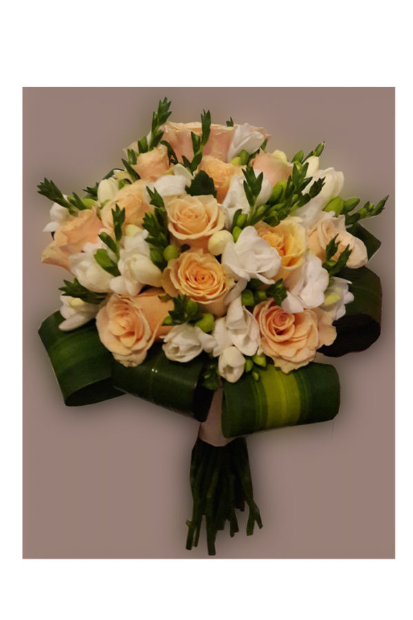 Rosas bicolor