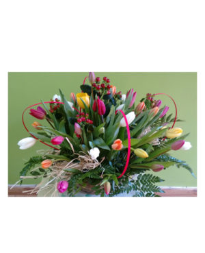 Tulipanes