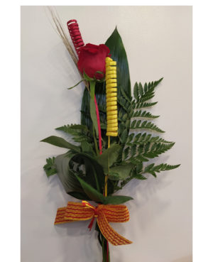 Sant Jordi 1