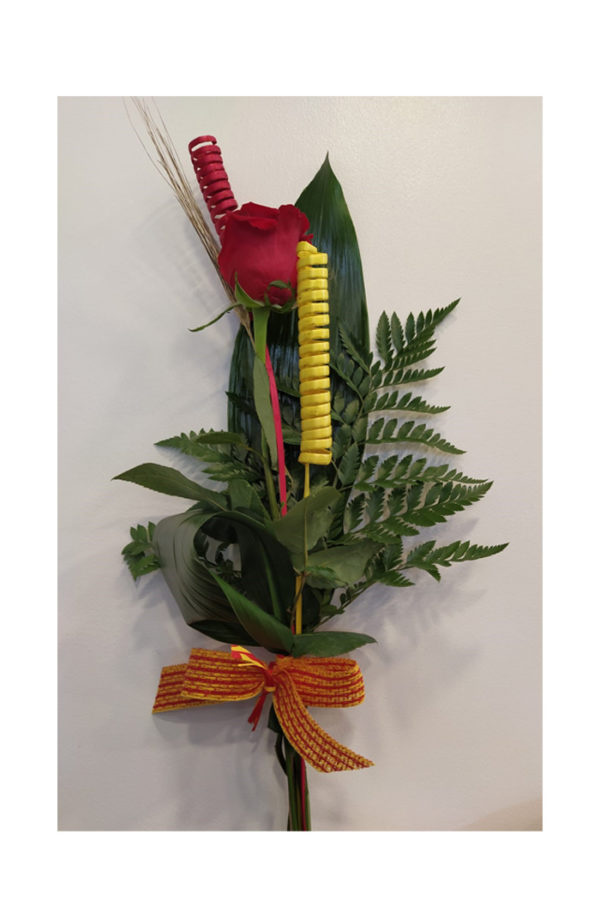 Sant Jordi 1