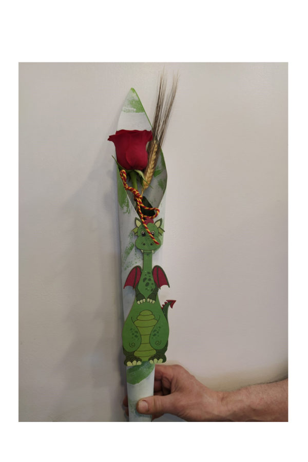 Sant Jordi 10