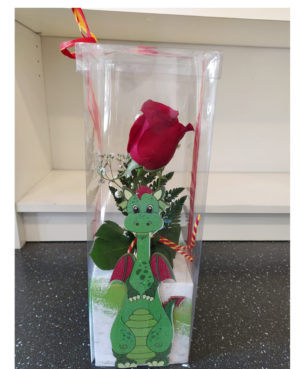 Sant Jordi 11