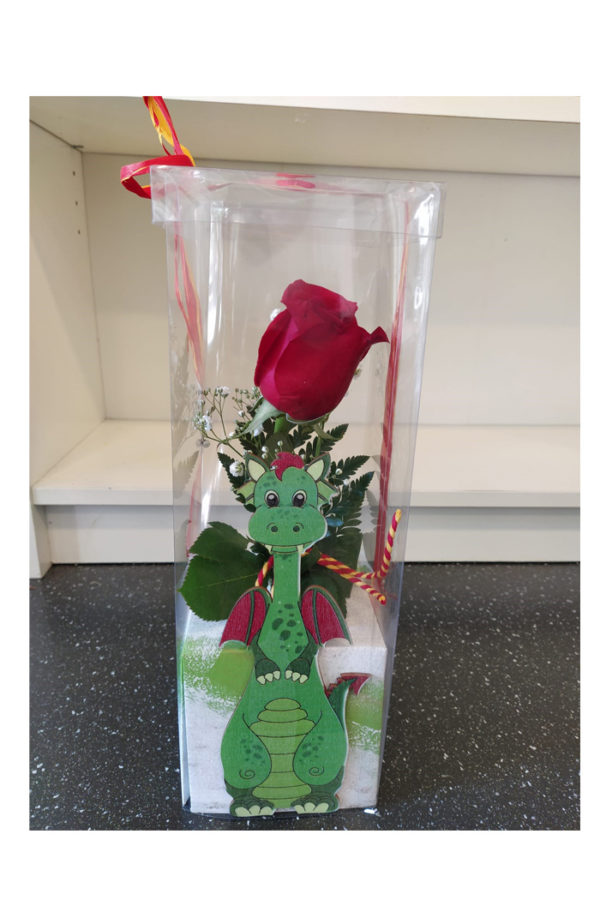 Sant Jordi 11