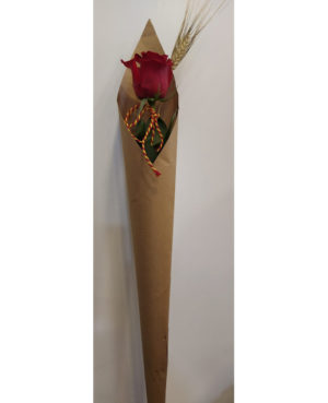 Sant Jordi 13