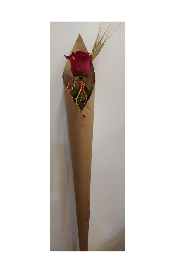 Sant Jordi 13