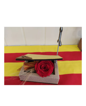 Sant Jordi 5