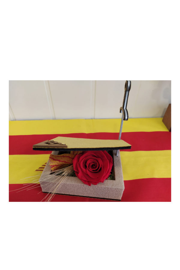Sant Jordi 5