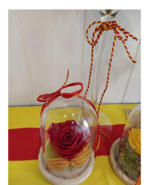 Sant Jordi 6