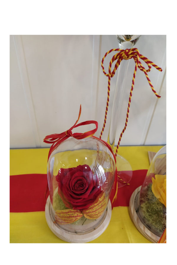 Sant Jordi 6