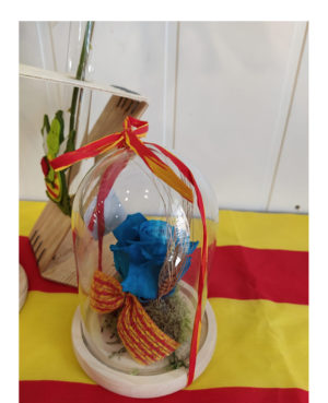 Sant Jordi 7