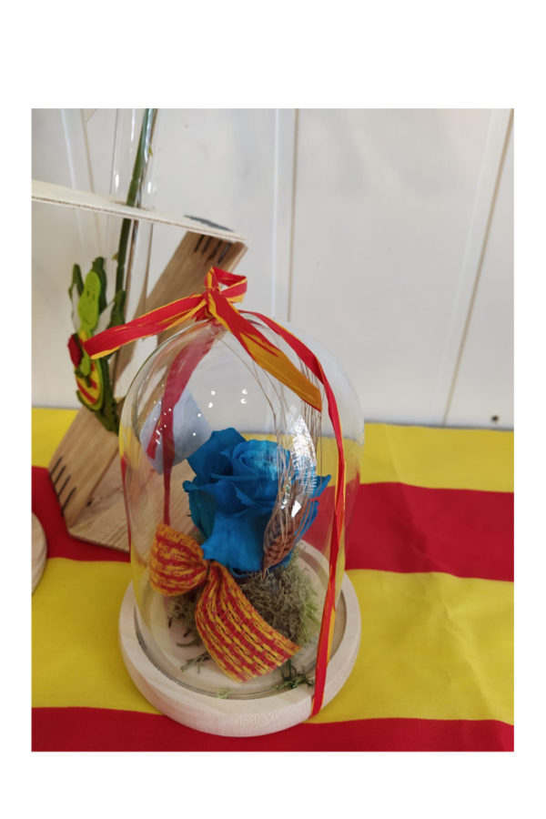 Sant Jordi 7