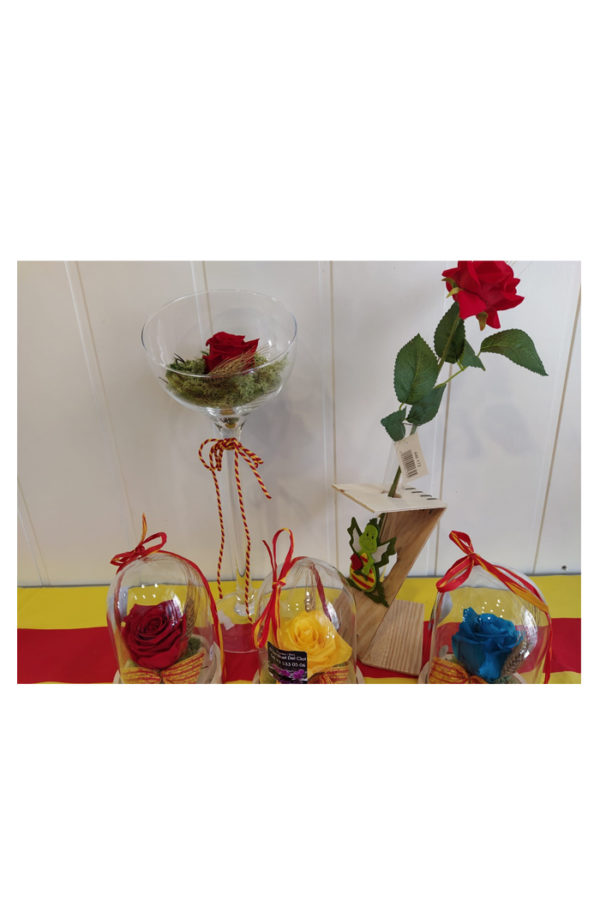 Sant Jordi 9